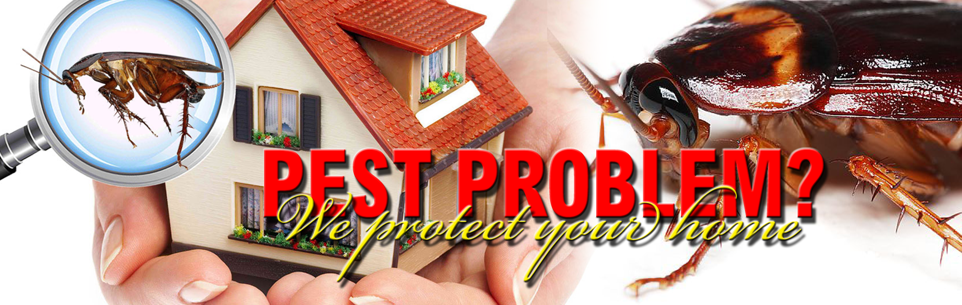 PEST CONTROL SERVICES