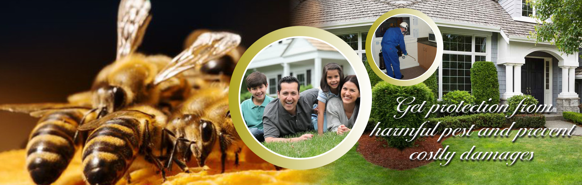 PEST CONTROL SERVICES CHENNAI