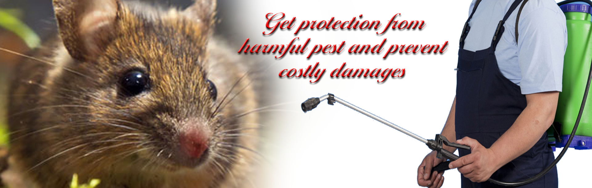 PEST CONTROL