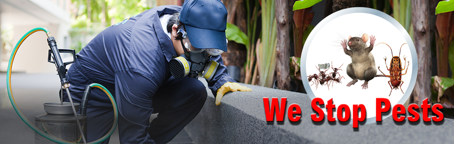 CHENNAI PEST CONTROL