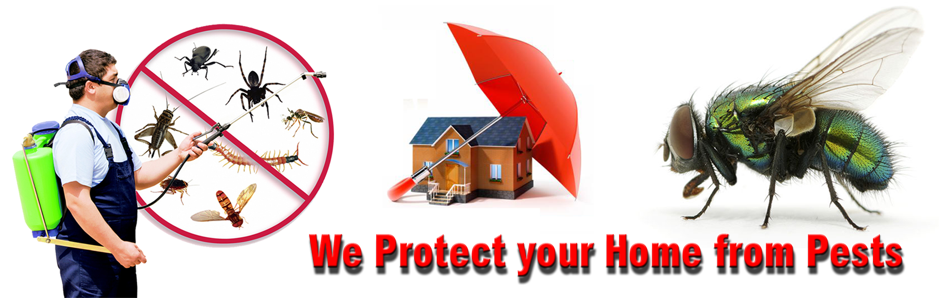 CHENNAI PEST CONTROL SERVICES