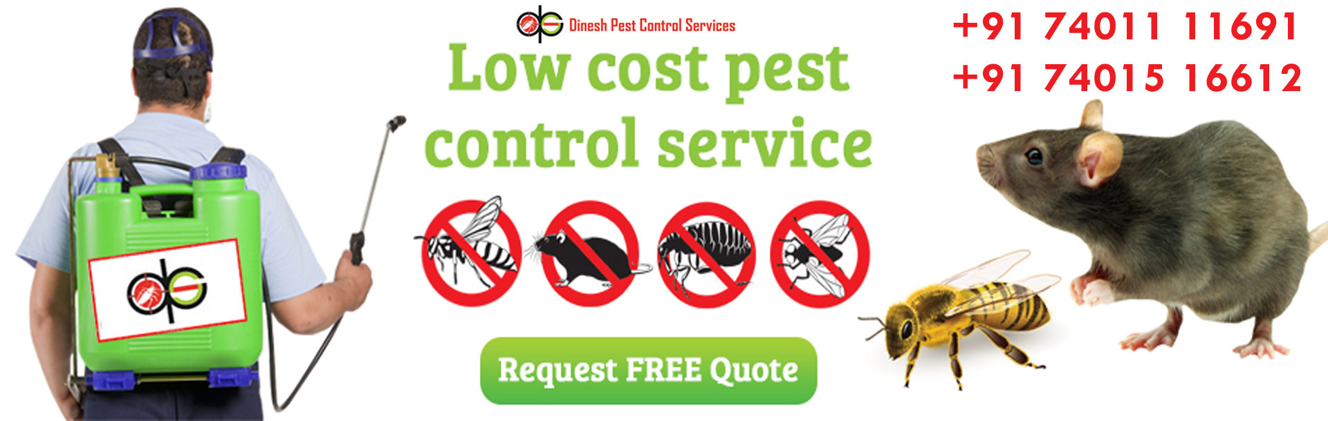 Pest Control Services in Thoraipakkam